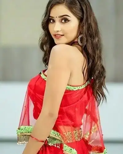 Call Girls Service Nuzividu